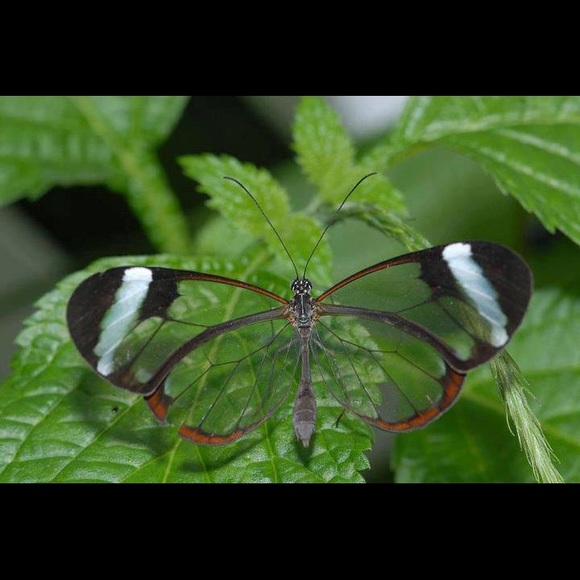 😍Bundle up your likes 😍 - Picture 15 of 16